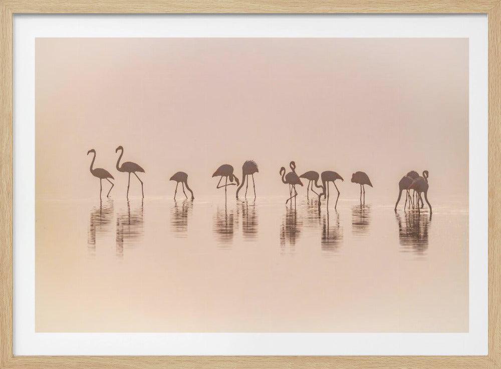 Flamingos in the mist | Poster