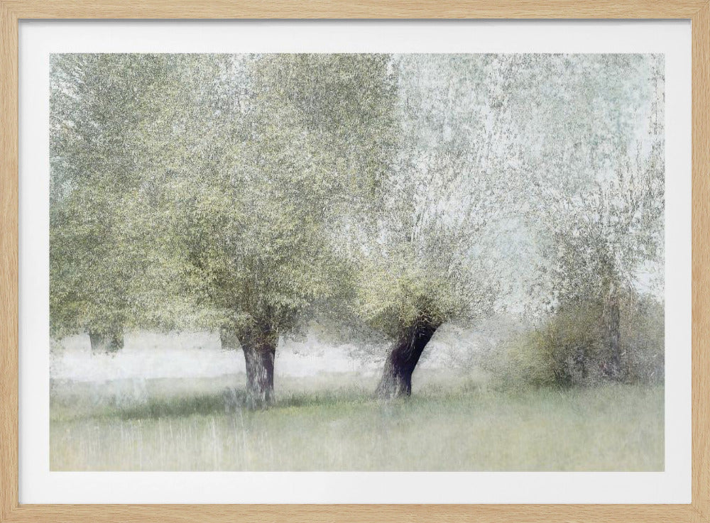 Young green | Poster