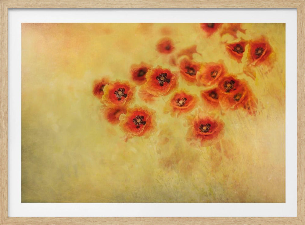 Summer feeling | Poster