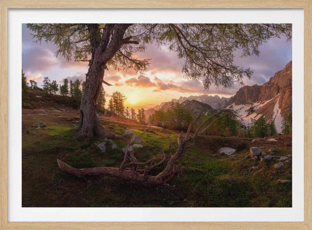 Magical morning | Poster