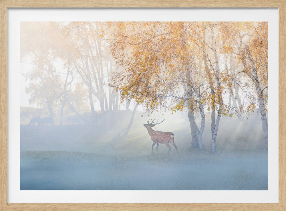 Elk Lost in Mist | Poster