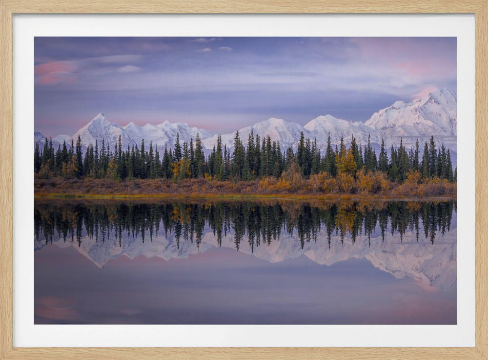 Denali Reflection | Poster