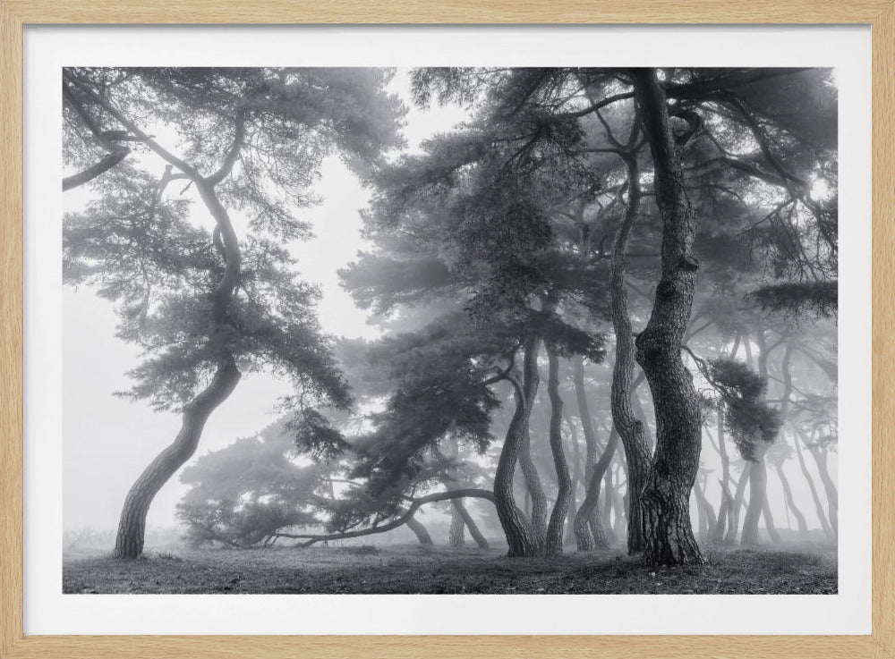 Endure for a hundred years | Poster