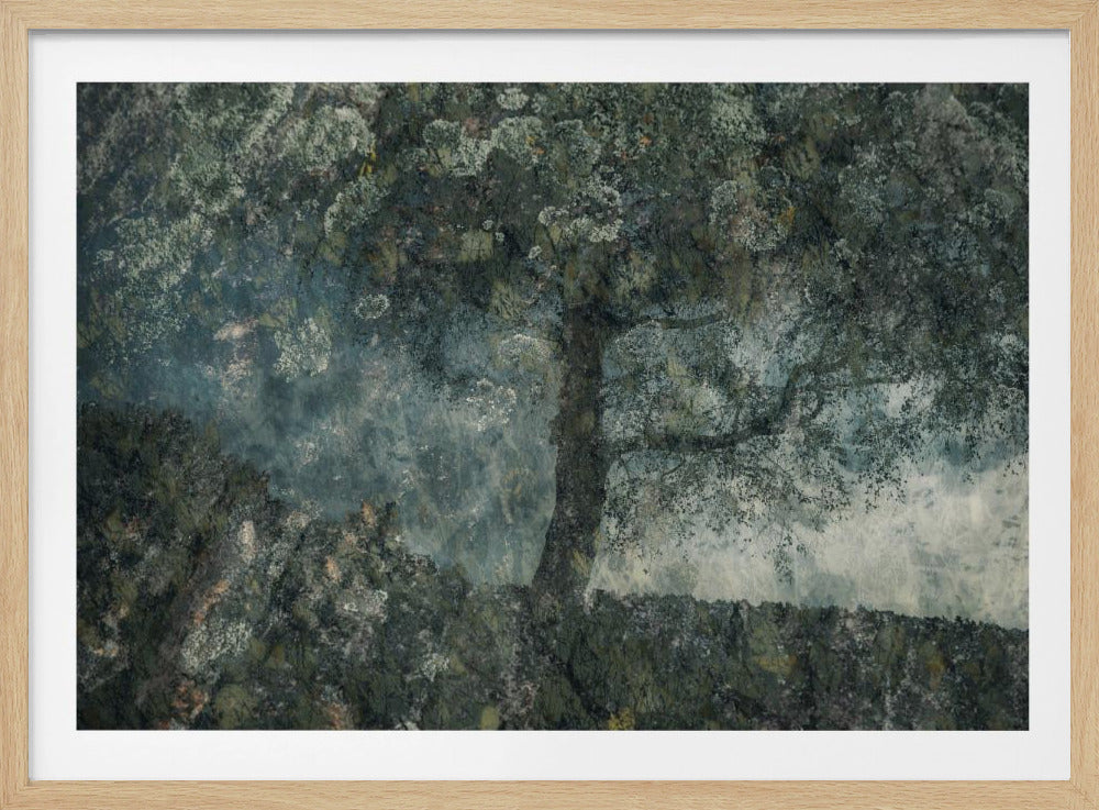 Rocks and a tree | Poster