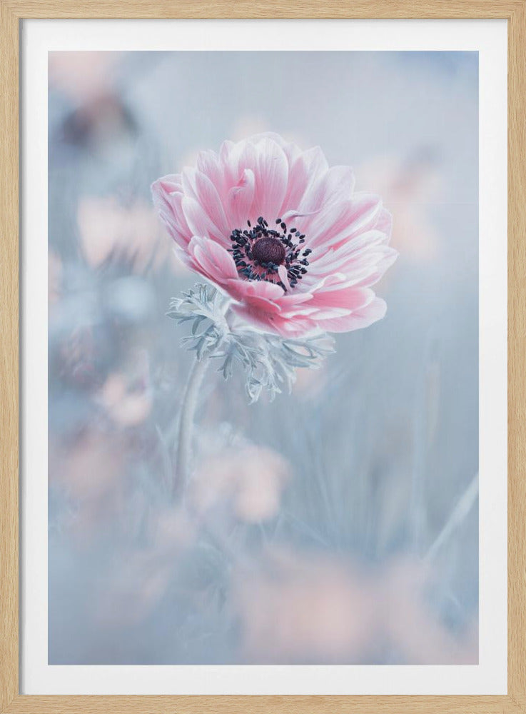 La reine de neiges | Poster