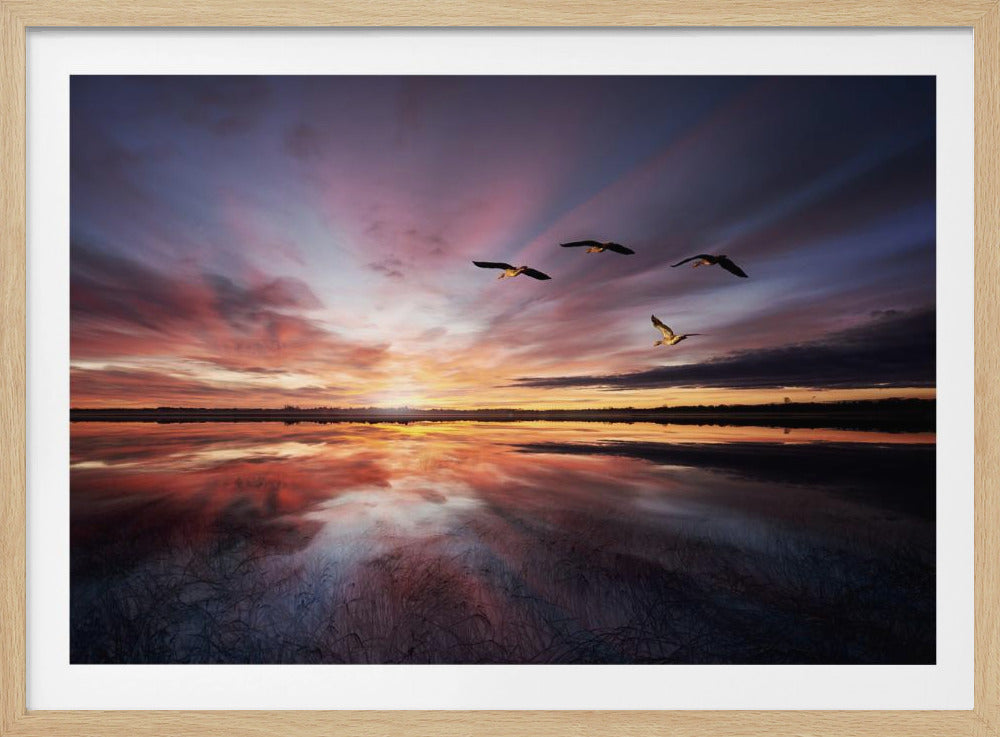 Morning mood.. | Poster