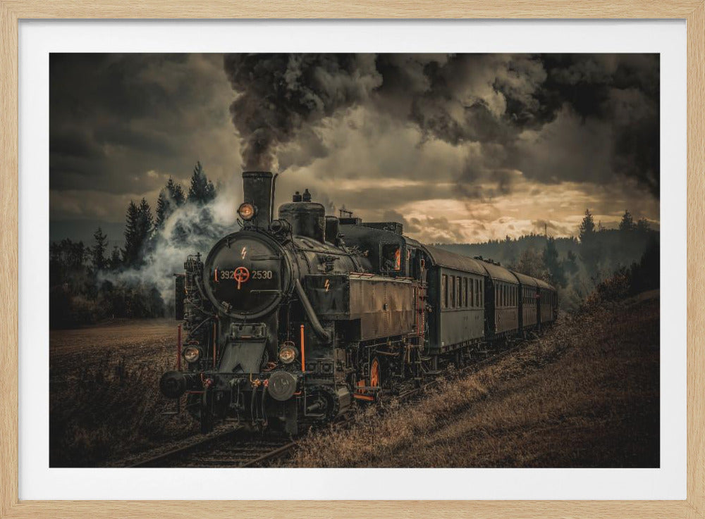 Gold digger train | Poster