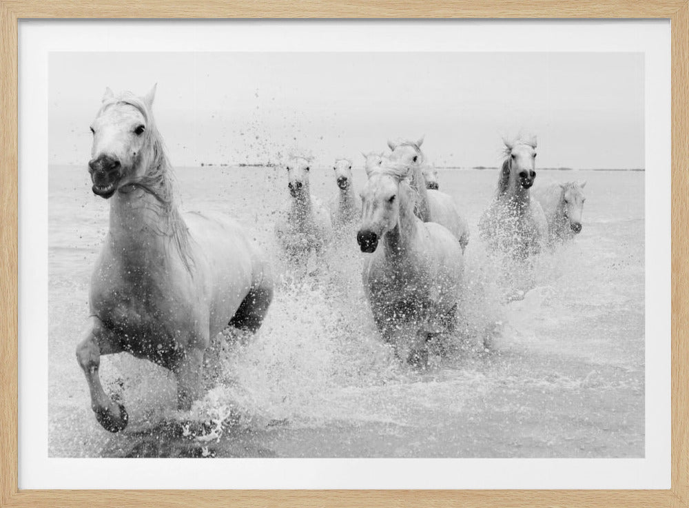 We are coming | Poster