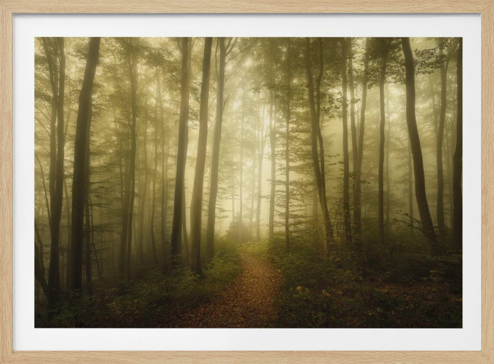 Charm of the ephemeral | Poster