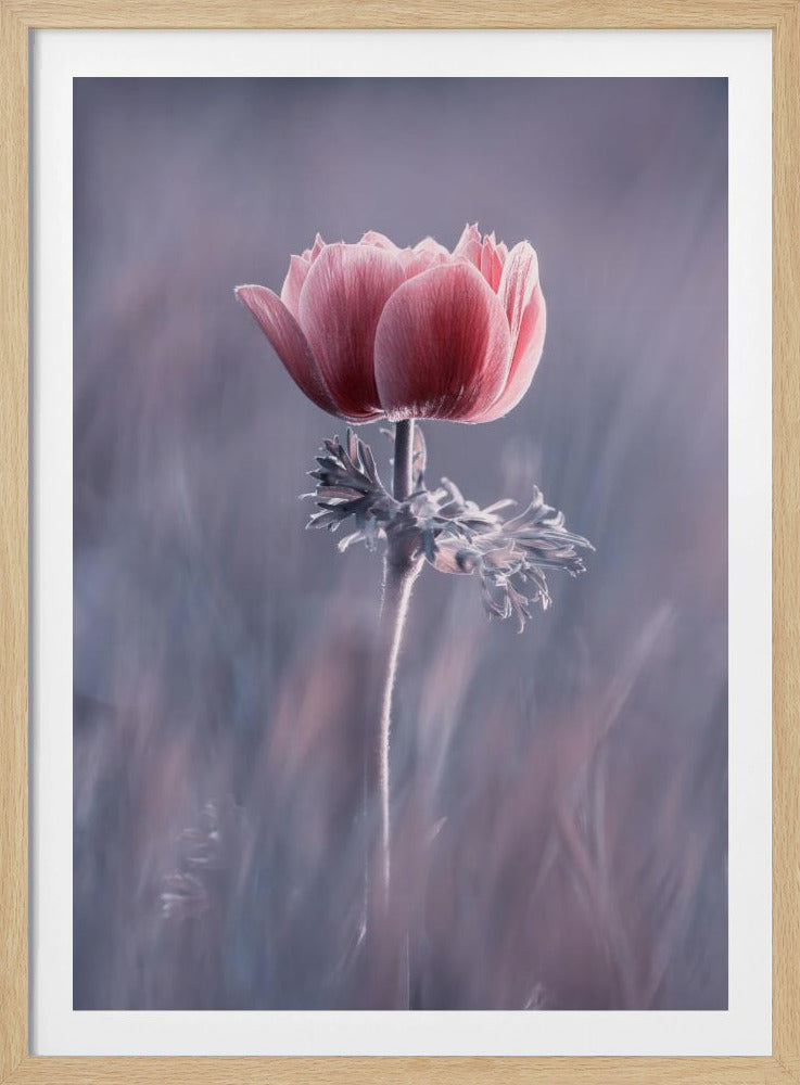 Pink ! So What ? | Poster