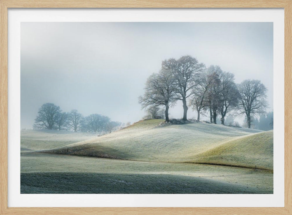 It is not in tuscany | Poster