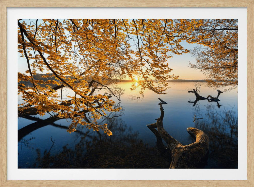 Autumn Morning | Poster