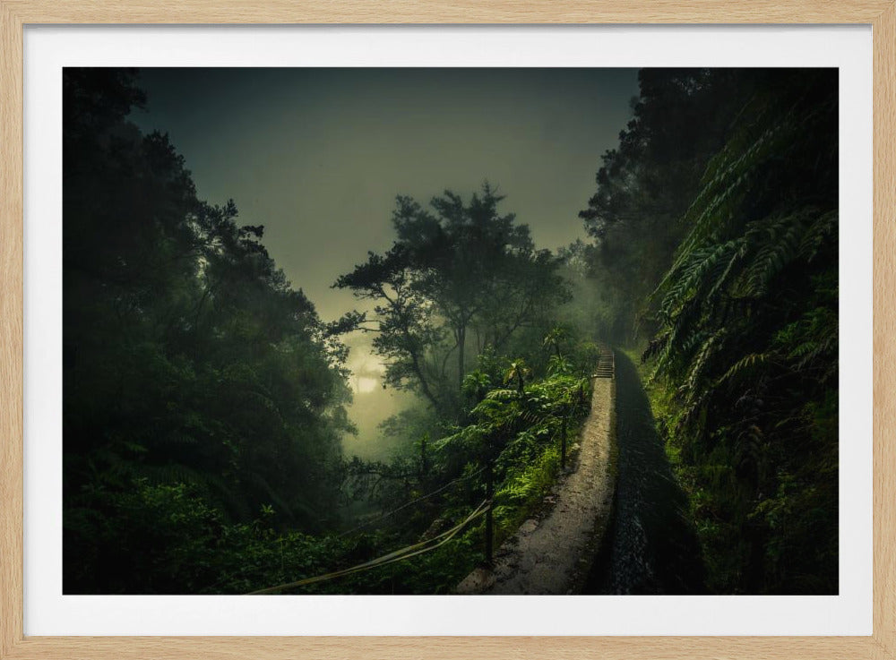 Levada Walk | Poster