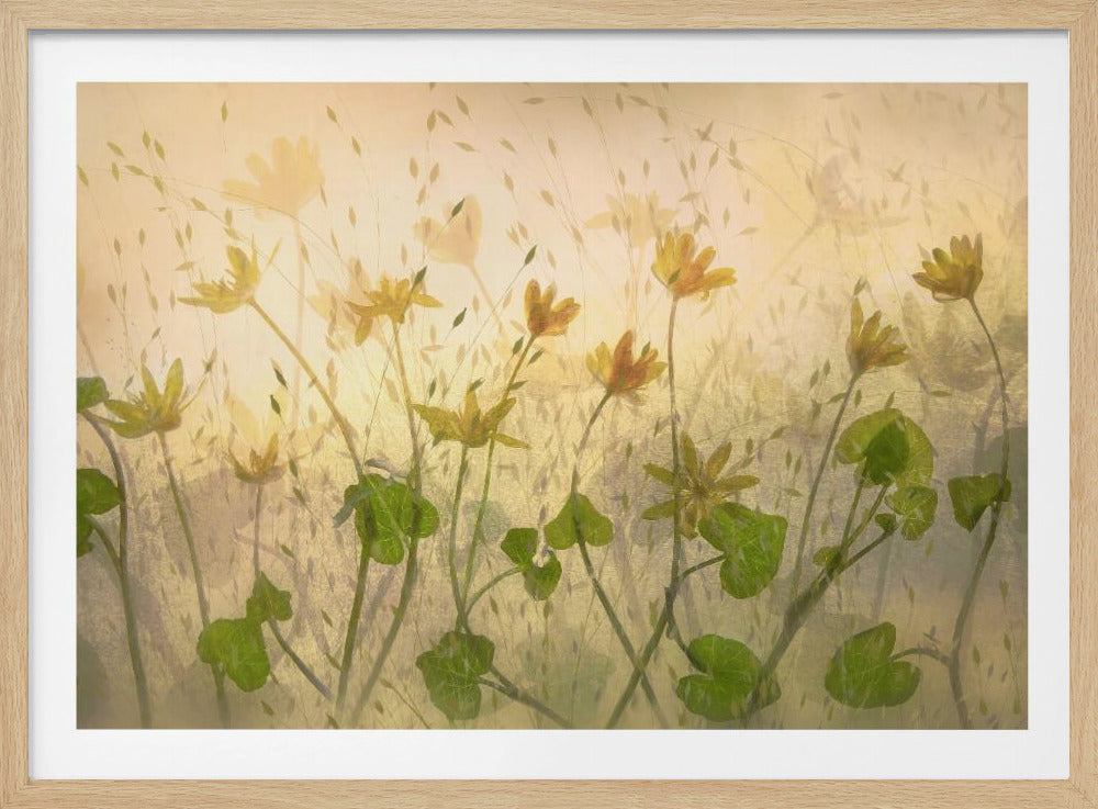 Sunny flowers | Poster