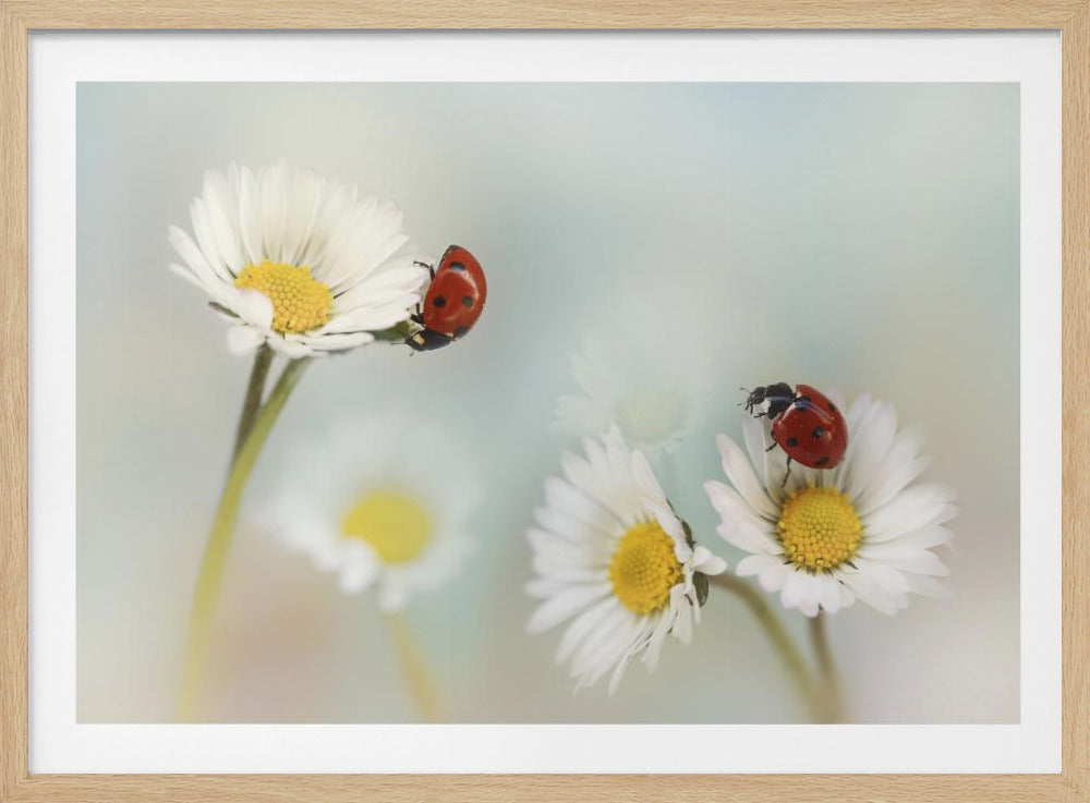 Springtime.... | Poster