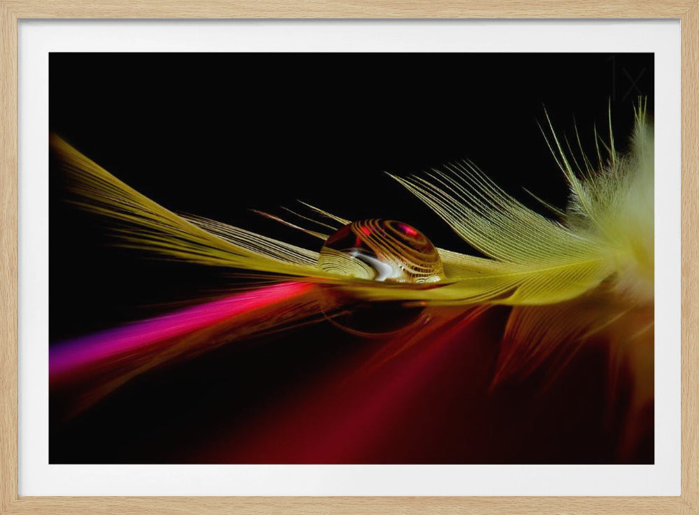 Colors in the drop | Poster