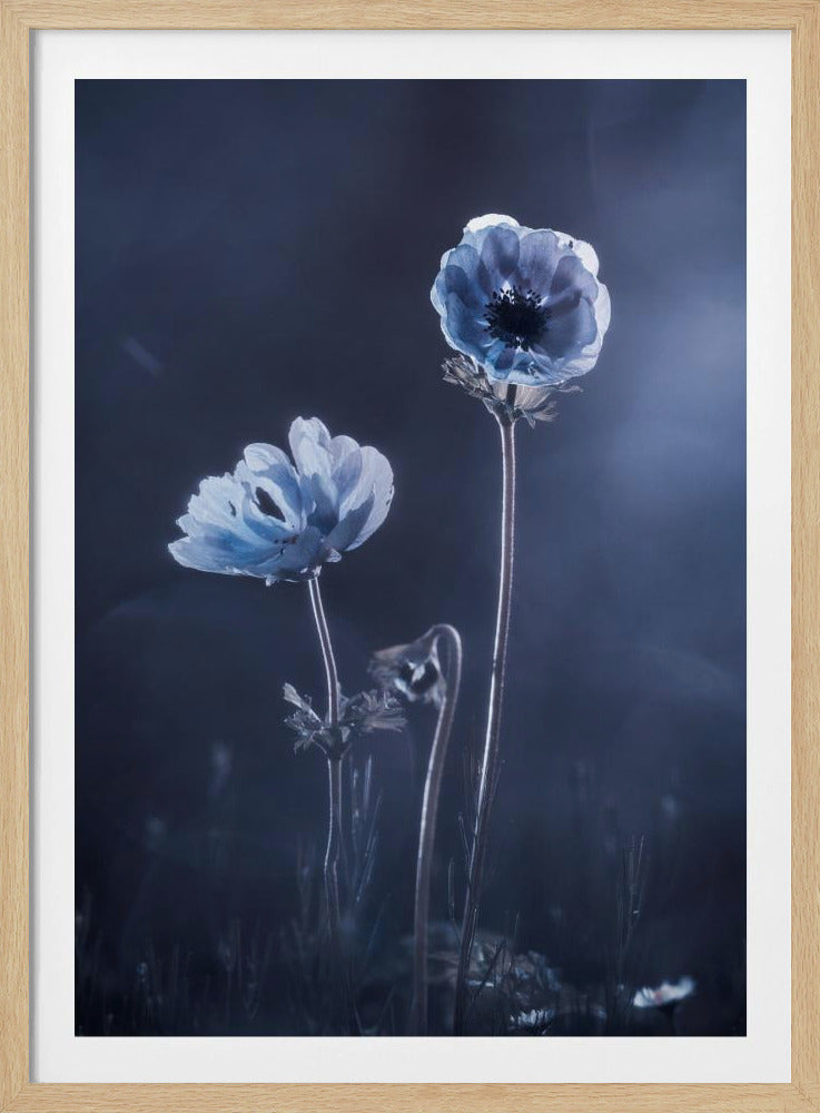 Meanwhile, oustide walls | Poster