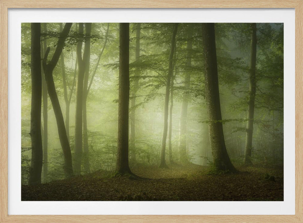 Mysterious Spring Morning | Poster