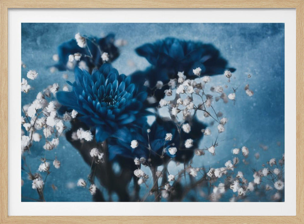 Dahlia | Poster