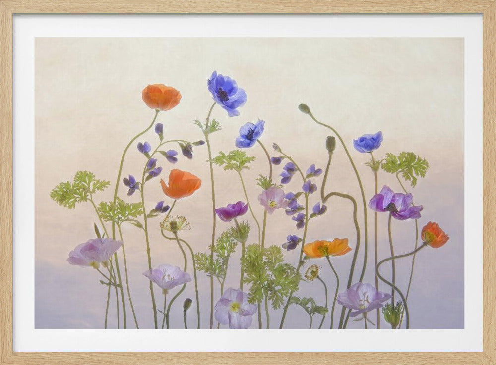 Spring Melody | Poster