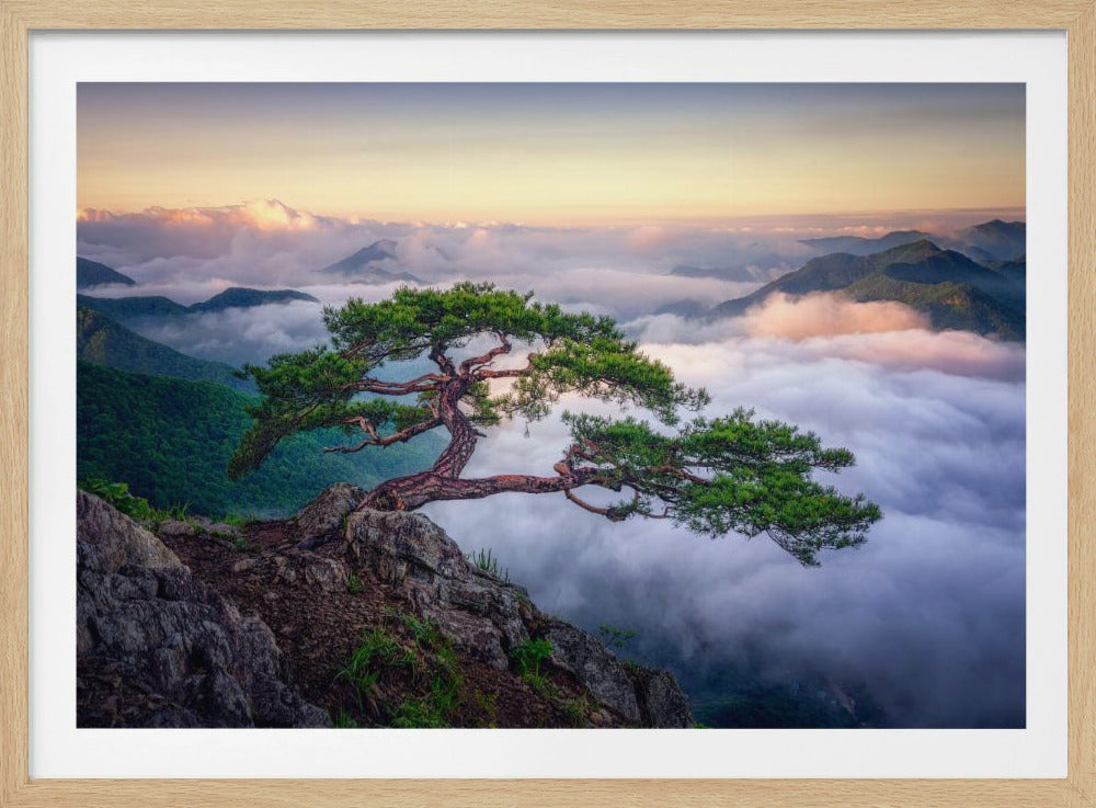 On the rock | Poster