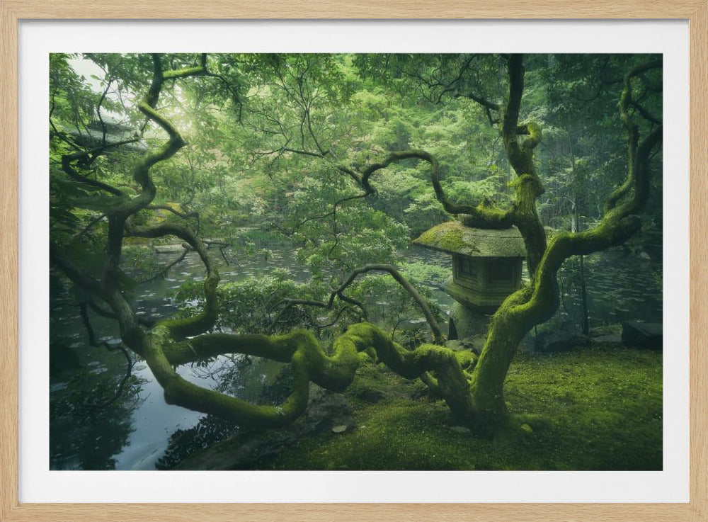 Japanese Tree | Poster
