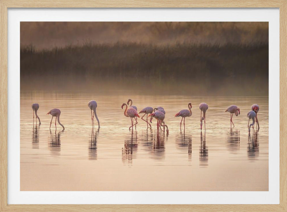 Photographic ode to Monet | Poster