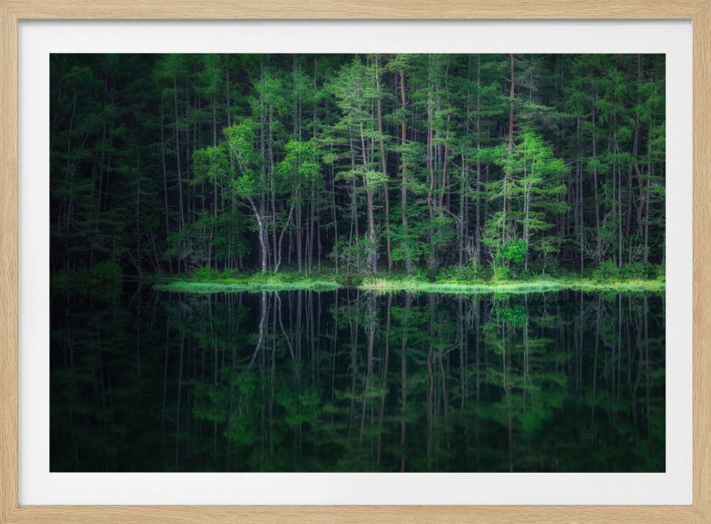 Green World | Poster