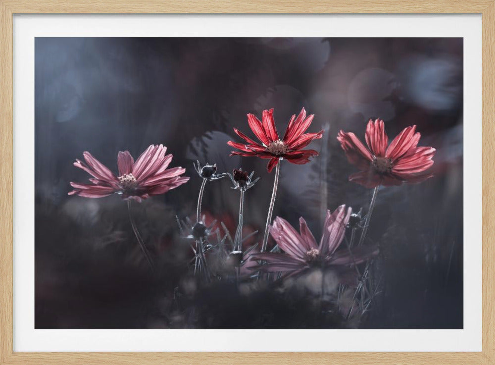 Les fleurs du Bien | Poster