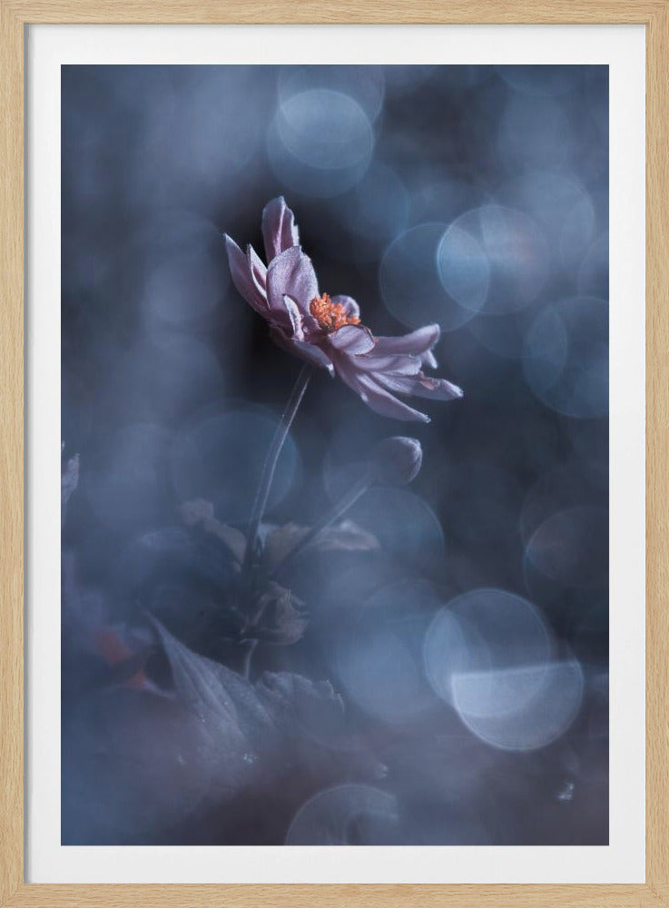 Dancing in the dark | Poster