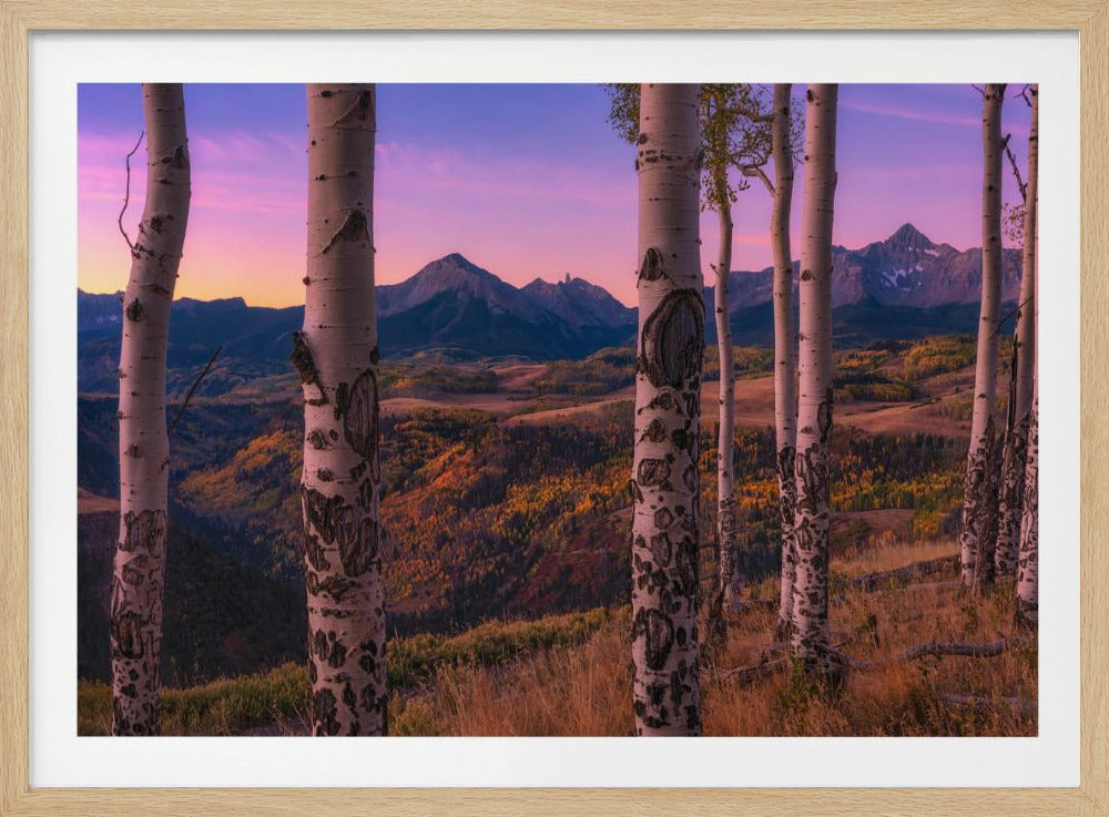 Aspen Frames | Poster