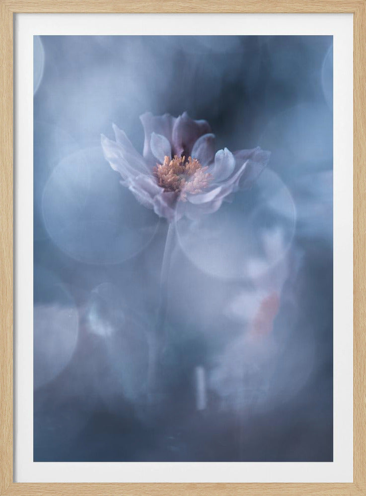 Deep immersion | Poster