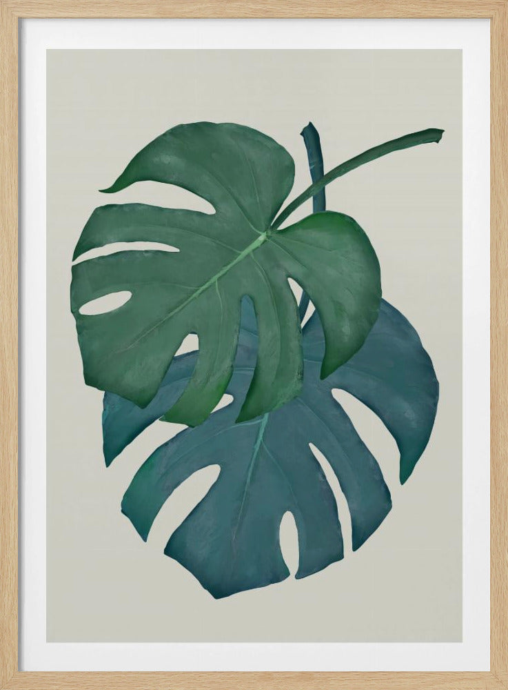 Monstera Aqua 06 | Poster