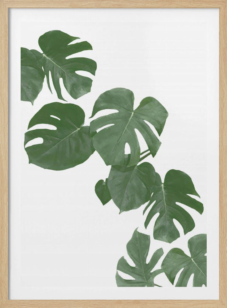 Monstera Aqua 02 | Poster