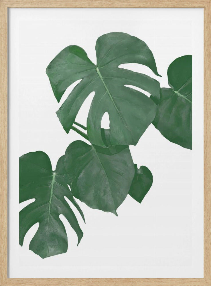 Monstera Aqua 01 | Poster