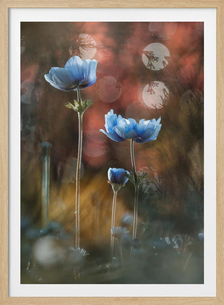 A riot of colors in a grey and dreary world | Poster