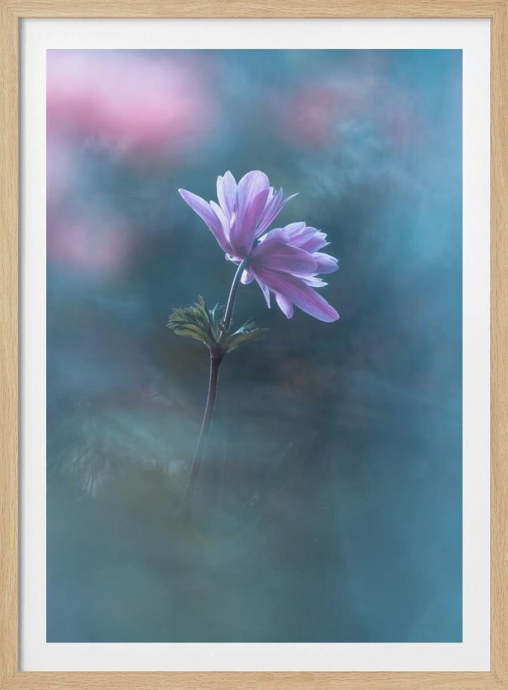 Never ending days | Poster