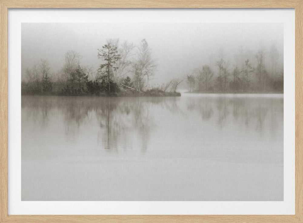 Dissolution | Poster