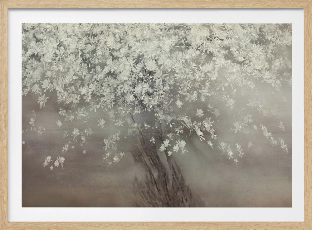 Stars of spring | Poster