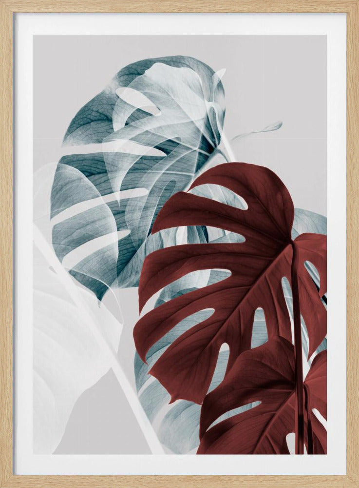 Monstera Creative 18 | Poster