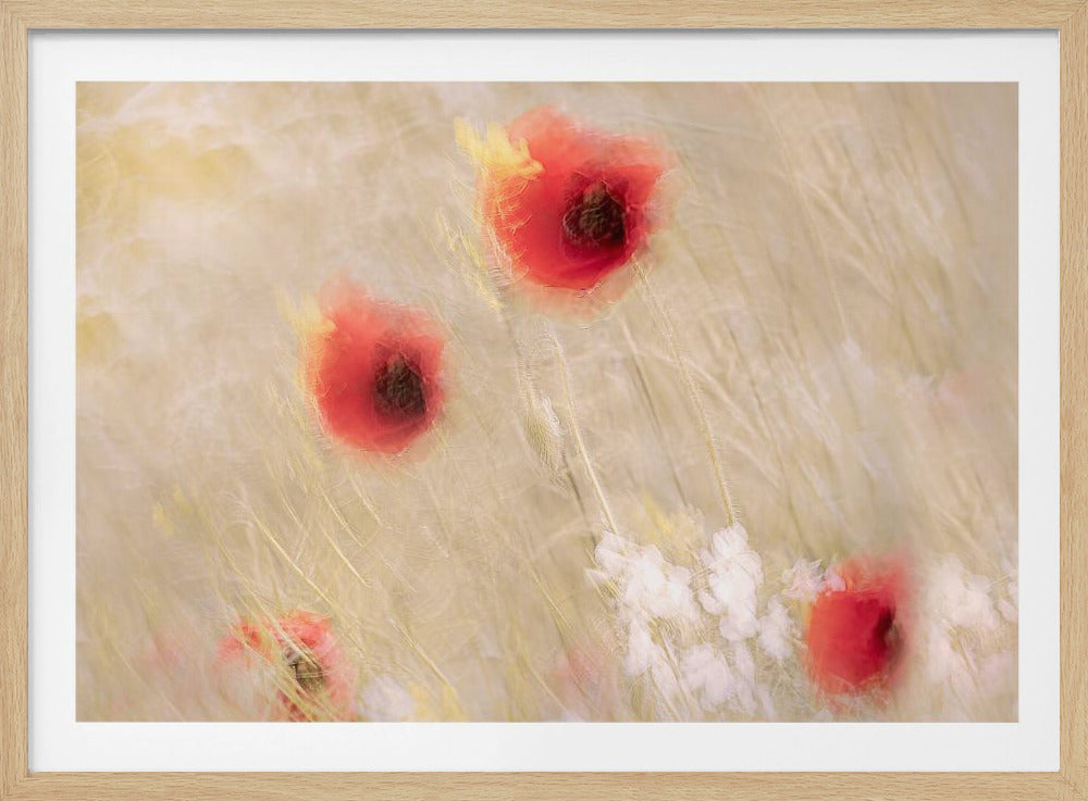 Between the grass | Poster