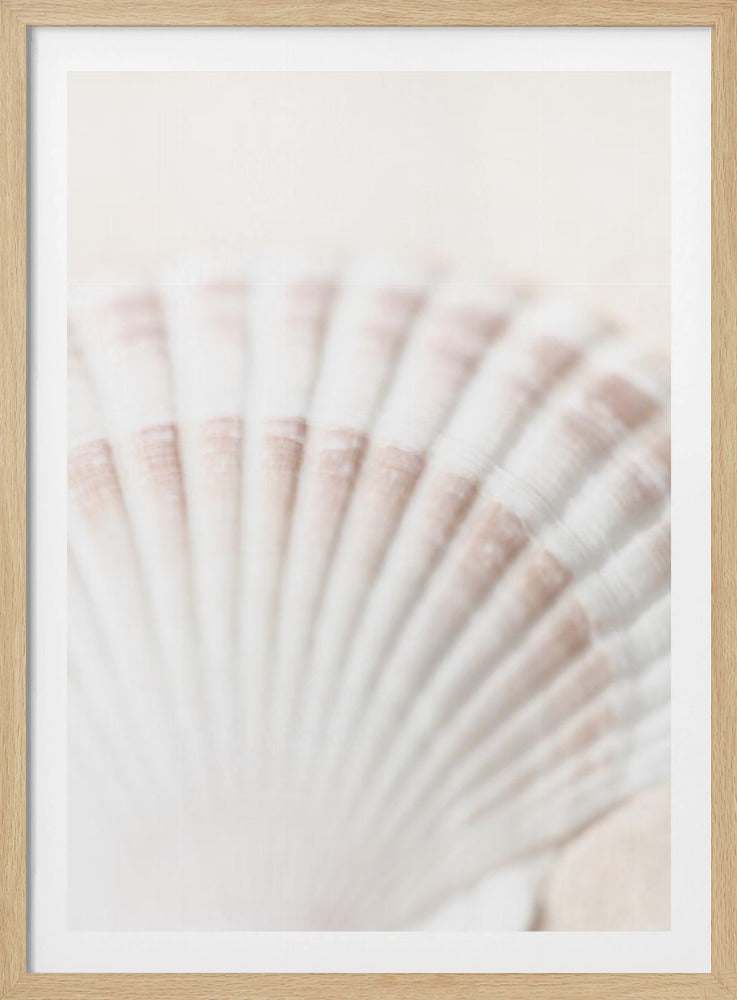Shell | Poster