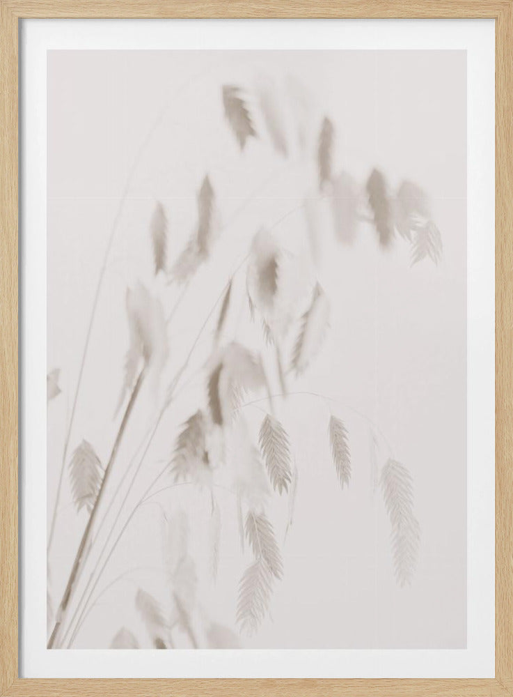 Dried Grass_pink | Poster