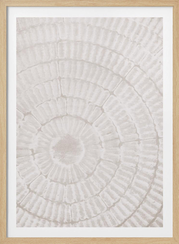 Pattern_plate_1 | Poster