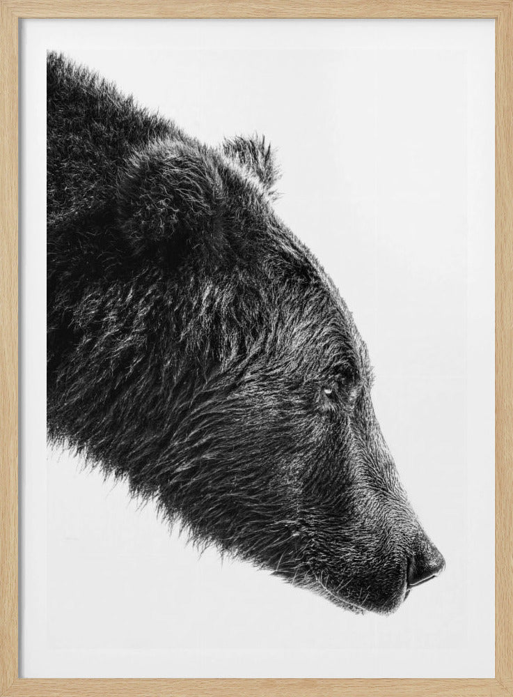 The Salmon Catcher | Poster