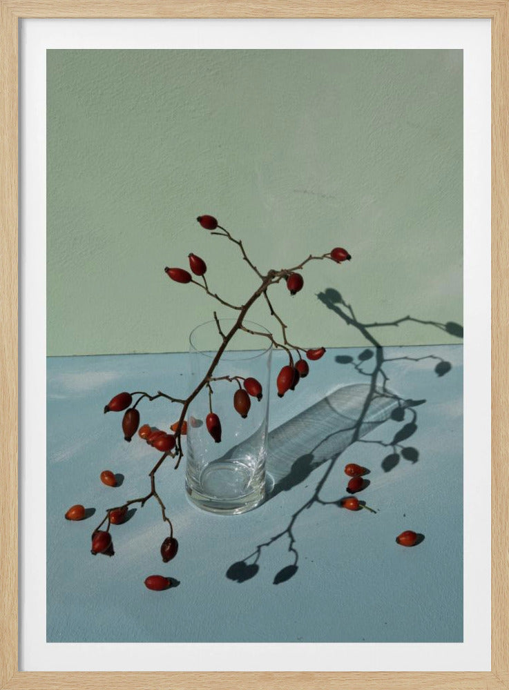 Light & shadow | Poster