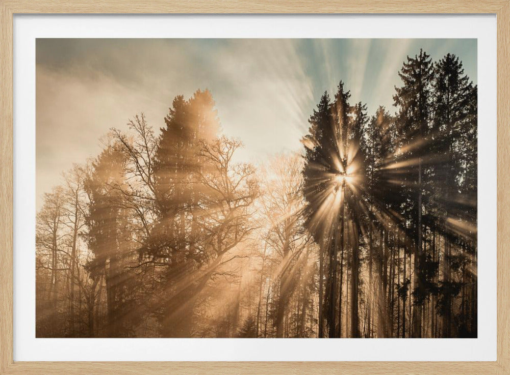 Fading away | Poster