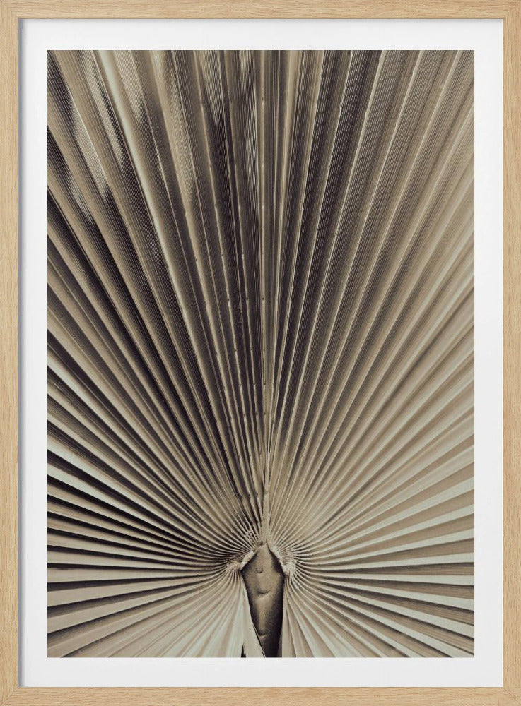 Palmblad_001 | Poster