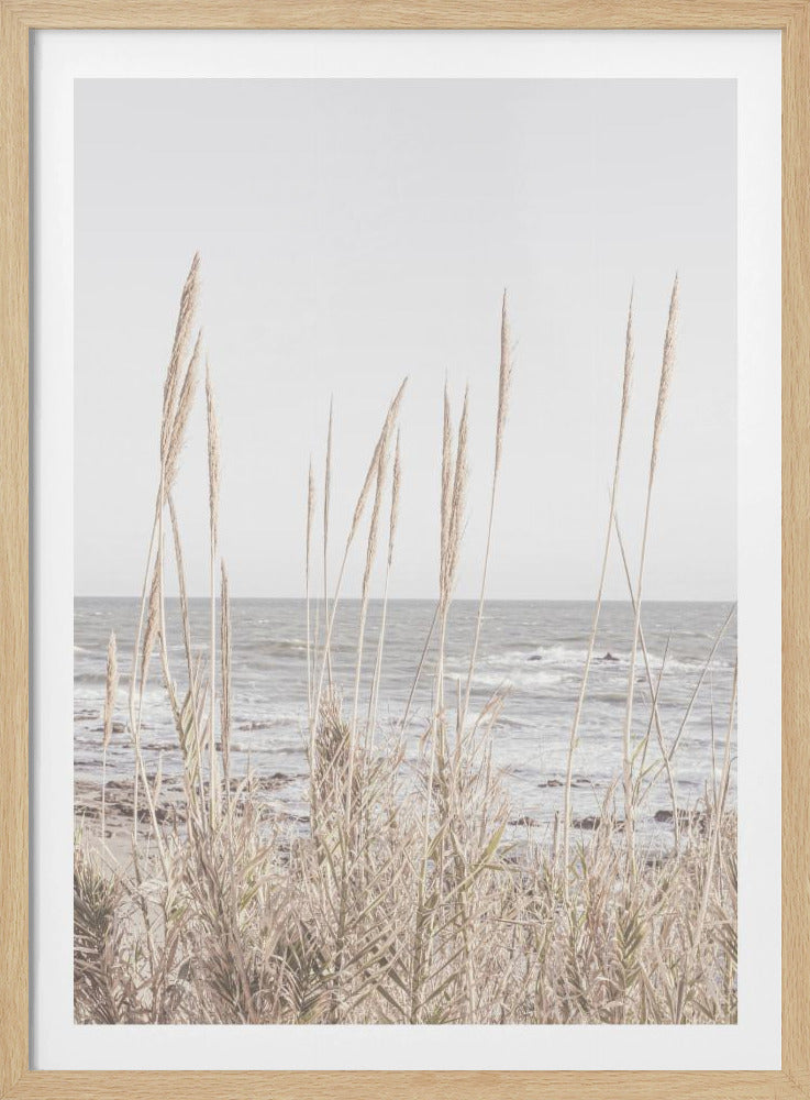 Beach_Vass_001 | Poster