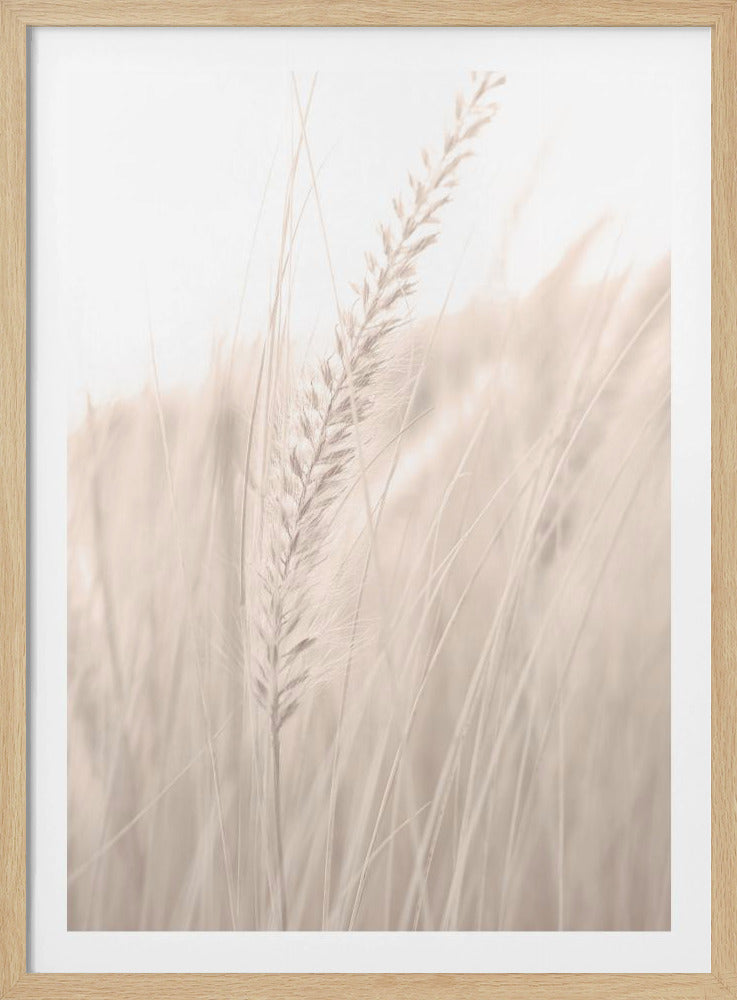 Grass_001 | Poster